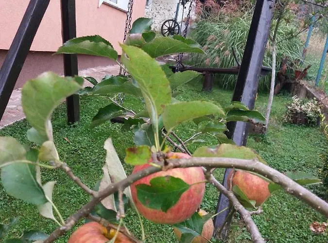 Apartman Fantasy Zavidovici *